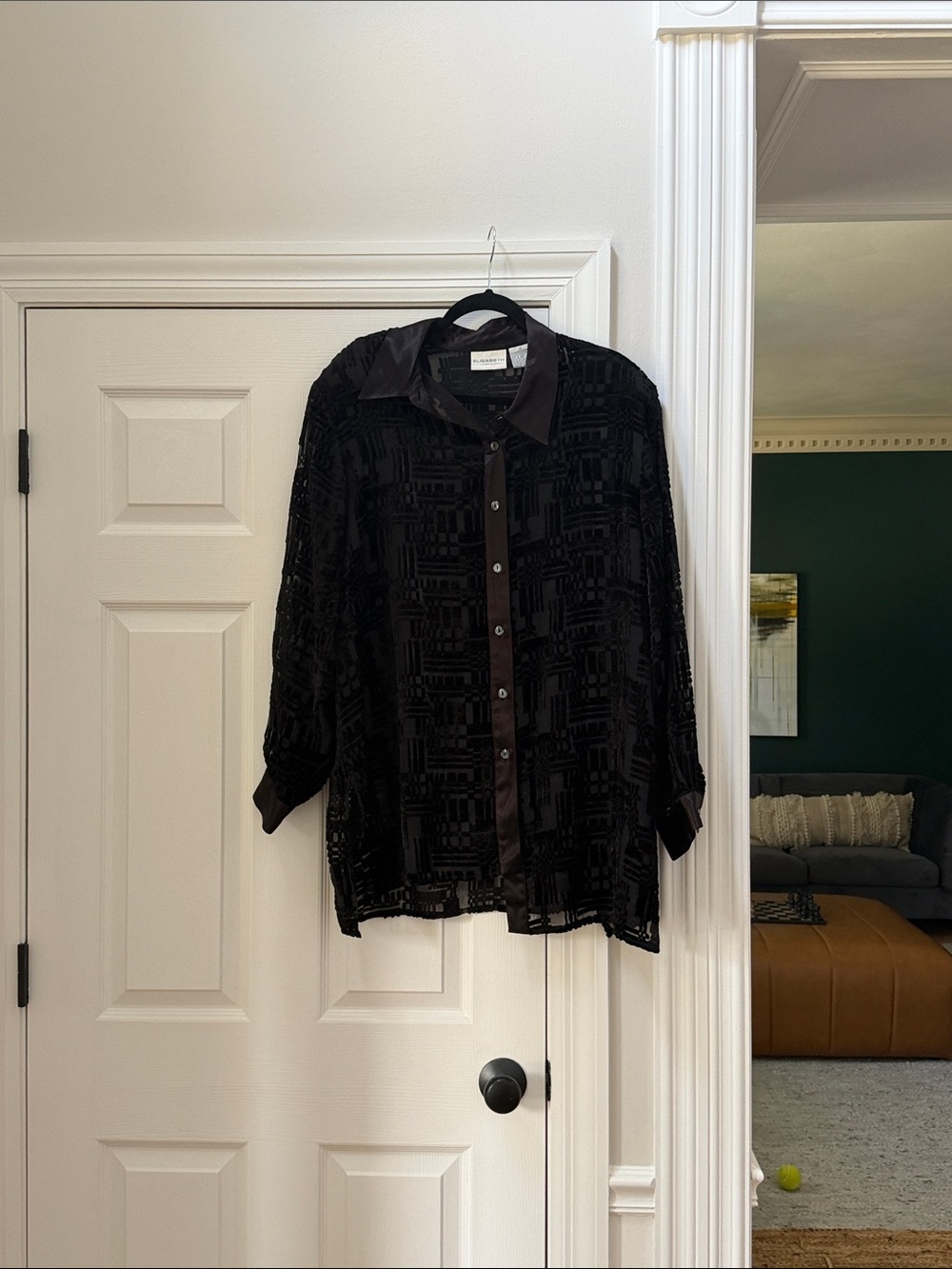 Sheer Blouse